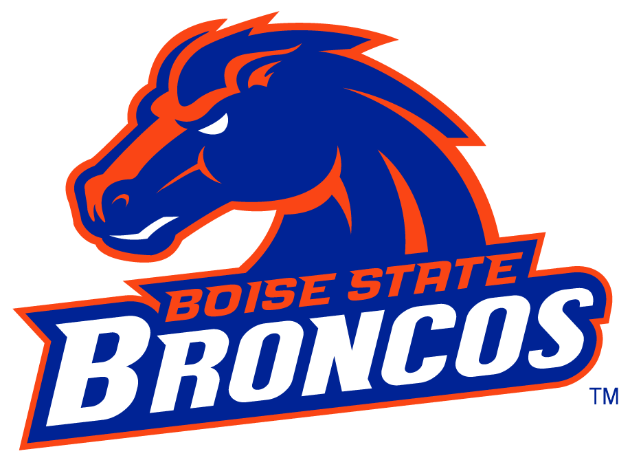 Boise State Broncos 2002-2012 Secondary Logo v10 iron on transfers for clothing